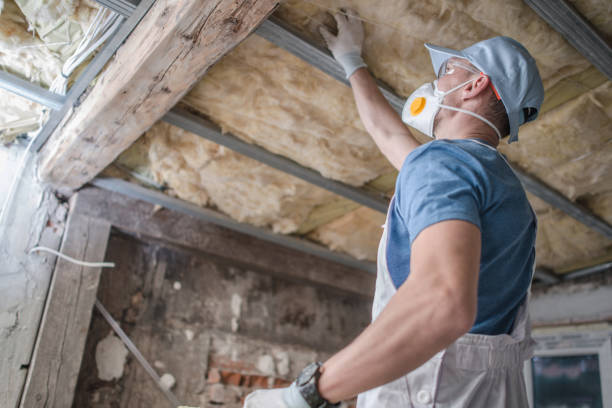 Best Wall Insulation Contractor  in Vardaman, MS
