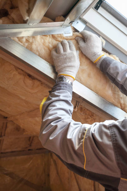 Best Home Insulation Services  in Vardaman, MS