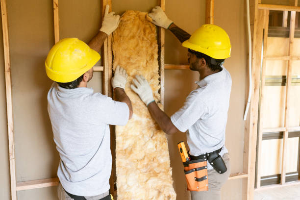 Best Cellulose Insulation  in Vardaman, MS