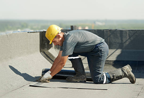 Best Fiberglass Insulation  in Vardaman, MS