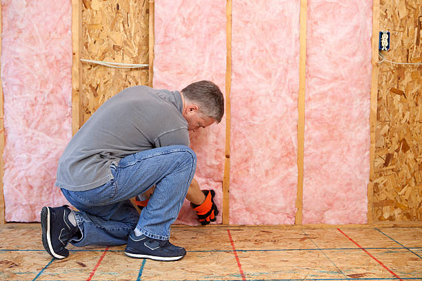 Best Blown-in Insulation  in Vardaman, MS